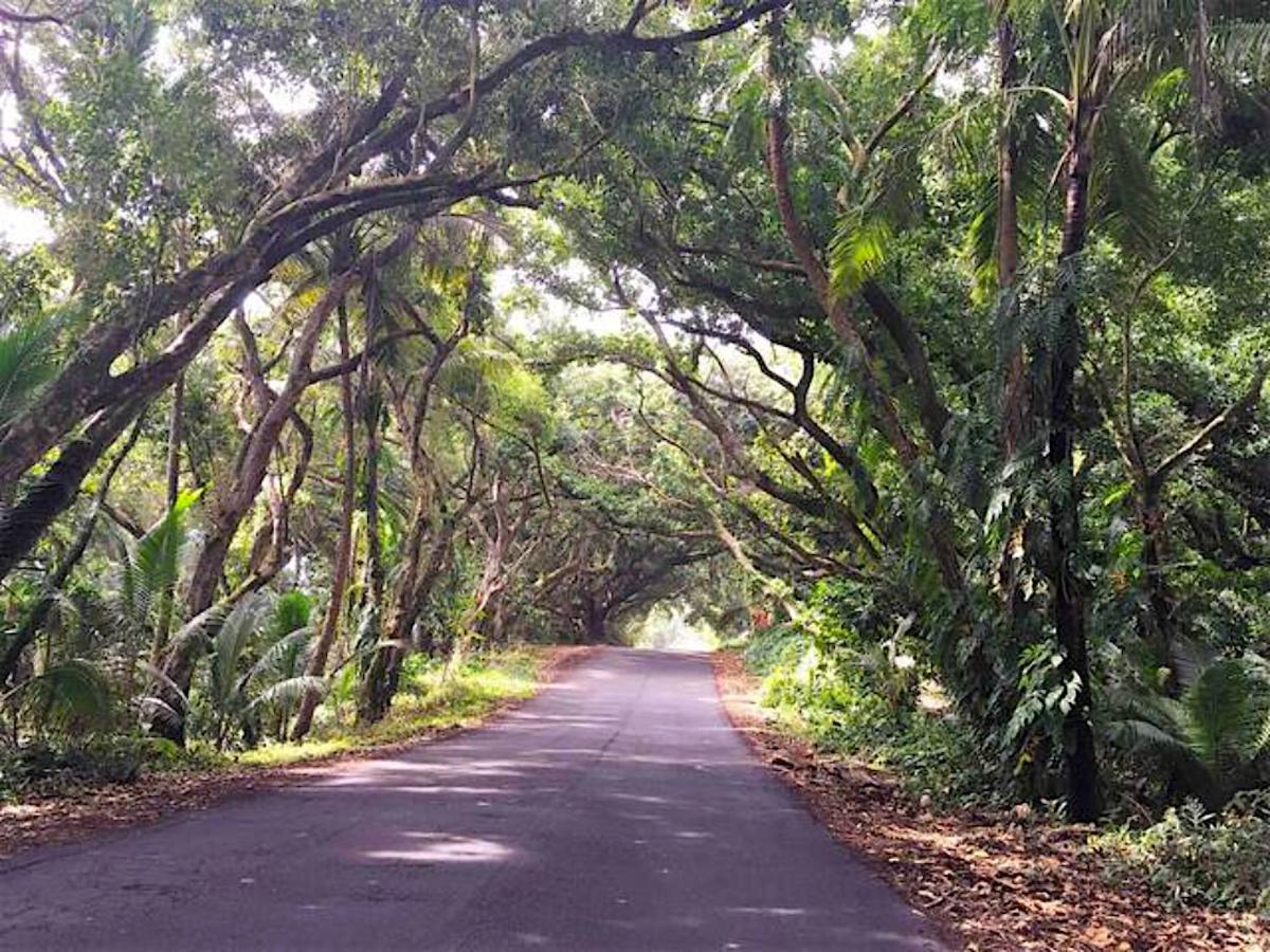 Puna Pod Pahoa Exterior photo